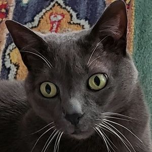 Meet your Posher, Caitlin